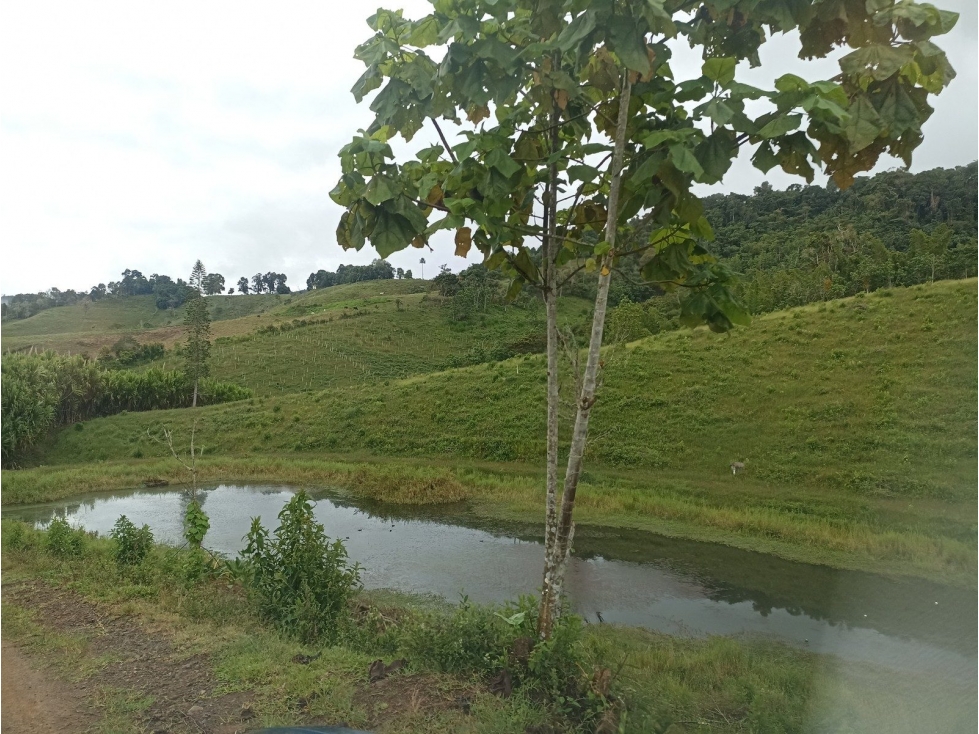 VDA QUEBRADA GRANDE - 1
