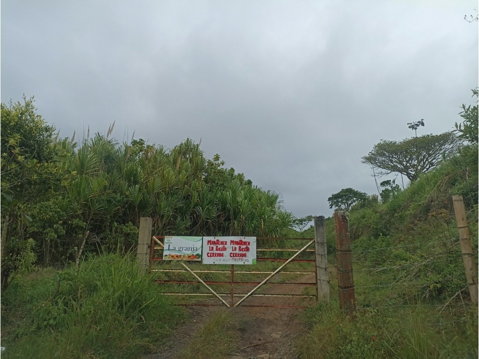 VDA QUEBRADA GRANDE - 2