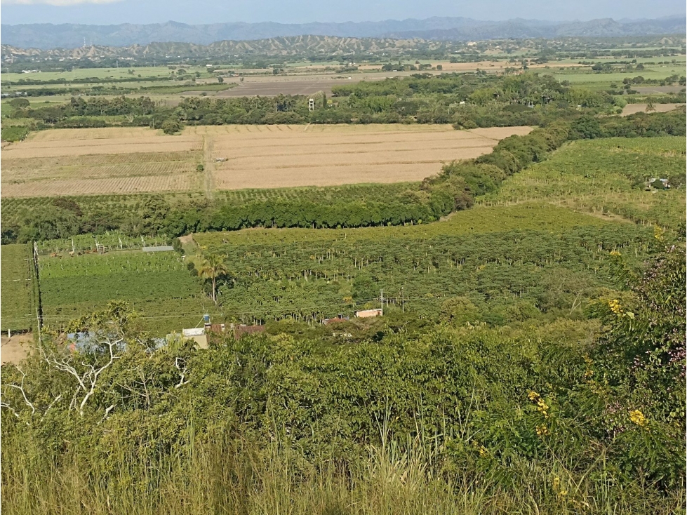 VDA SAN JUANITO - 2