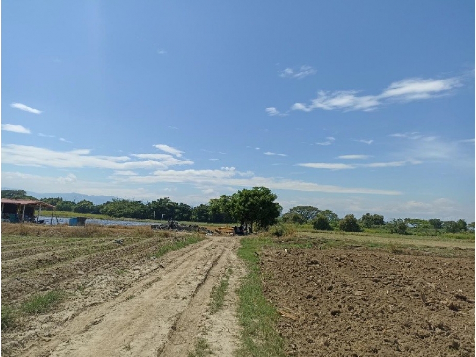 VDA SAN JUANITO - 3