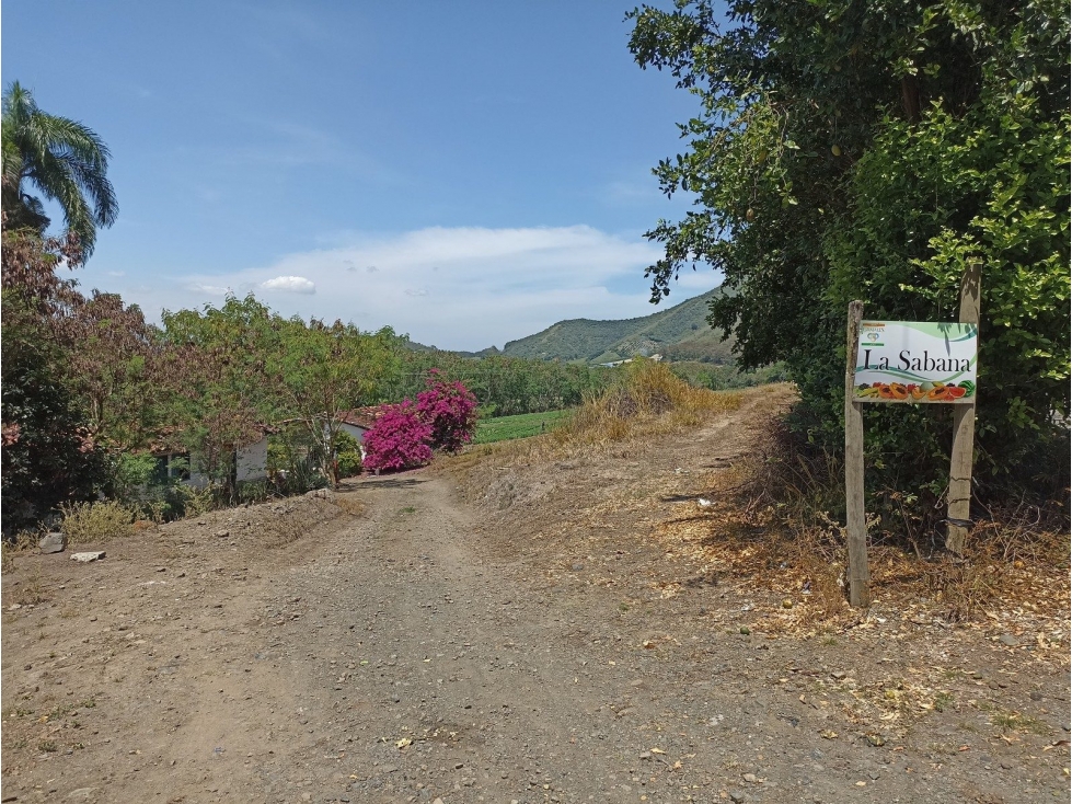 VDA SAN JUANITO - 2