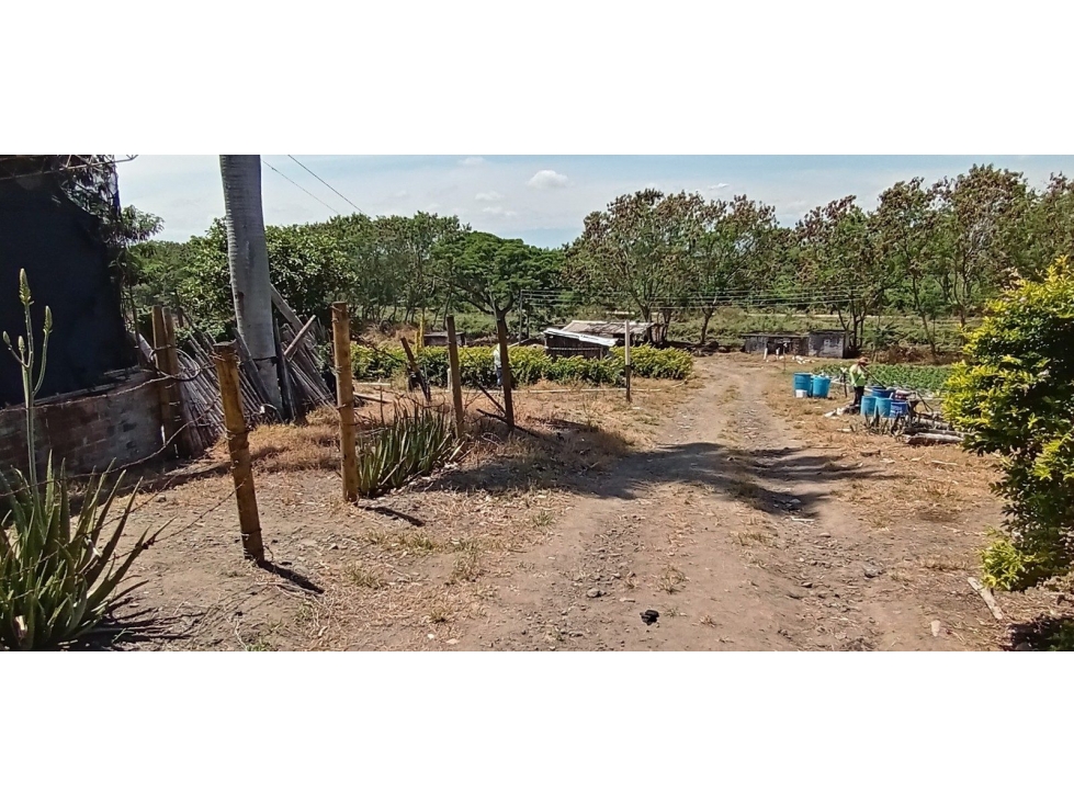 VDA SAN JUANITO - 3