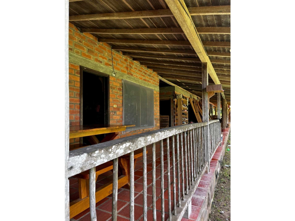 VENDE 9 HECTAREAS EN MONTERIA EN LA VIA A TIERRALTA — foto 2