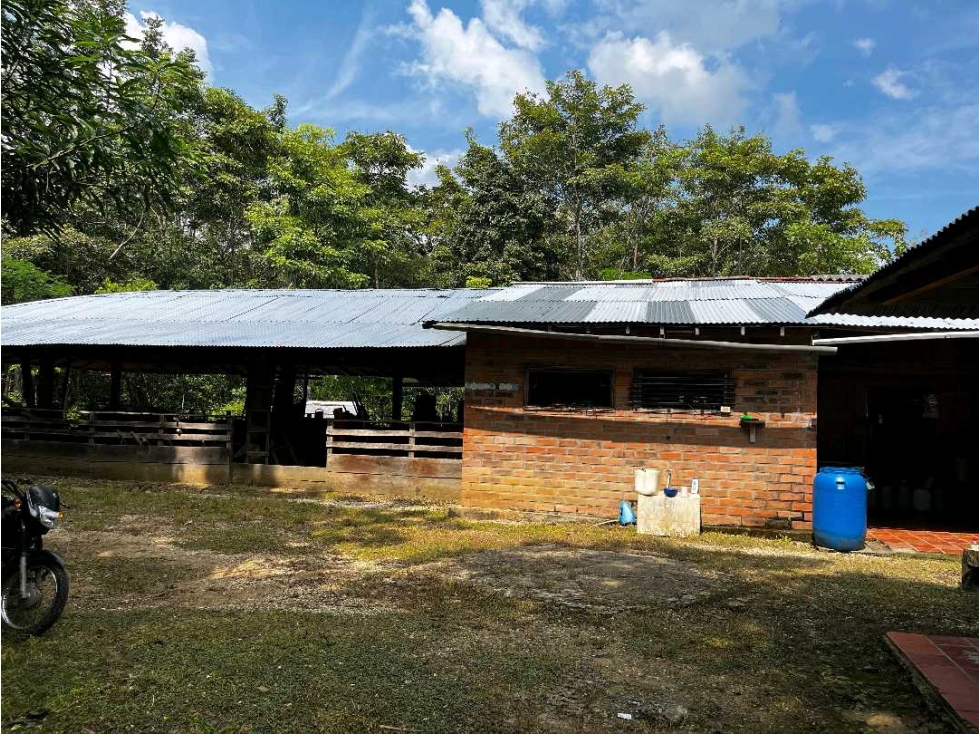 VENDE 9 HECTAREAS EN MONTERIA EN LA VIA A TIERRALTA — foto 6