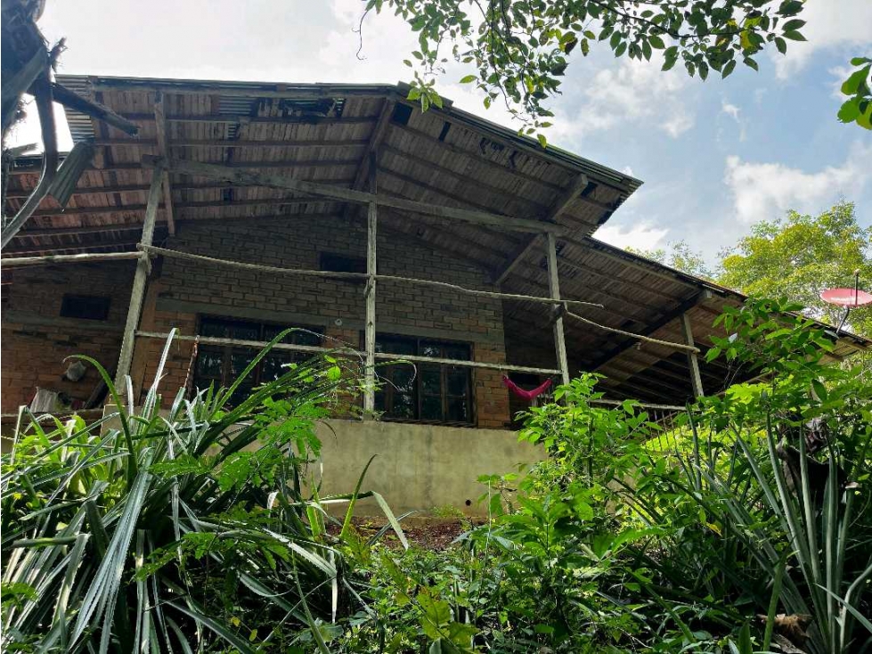VENDE 9 HECTAREAS EN MONTERIA EN LA VIA A TIERRALTA