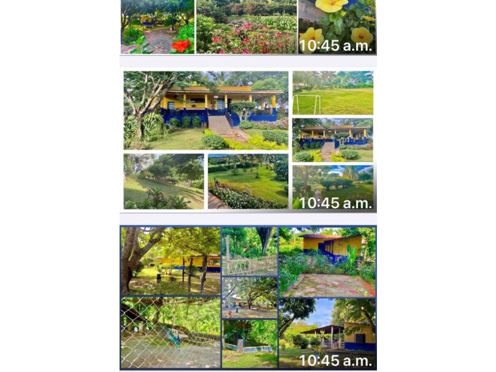 Vende finca - 2