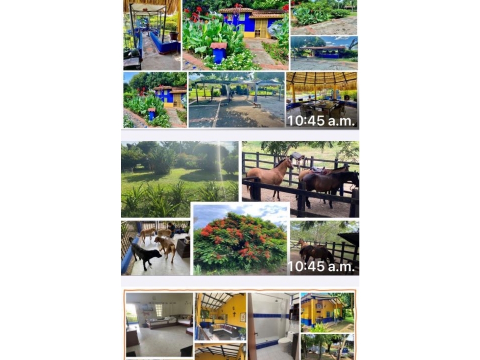 Vende finca - 3
