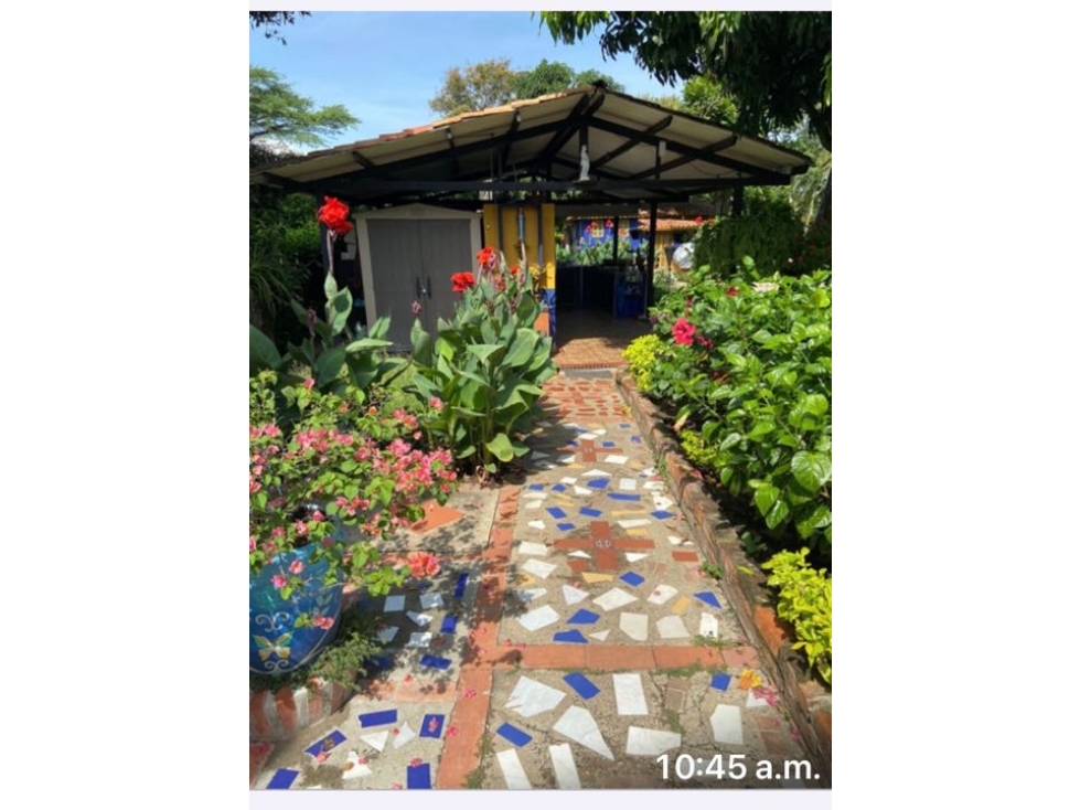 Vende finca - 5