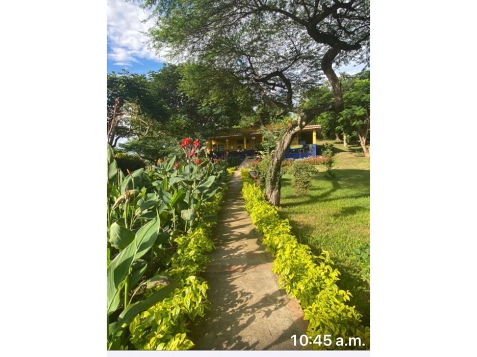 Vende finca - 6
