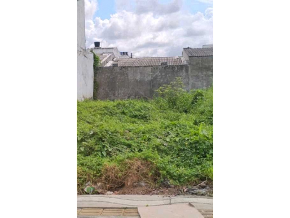 Vende lote en campo alegre CALLE PAVIEMNTADA en Monteria — foto 2