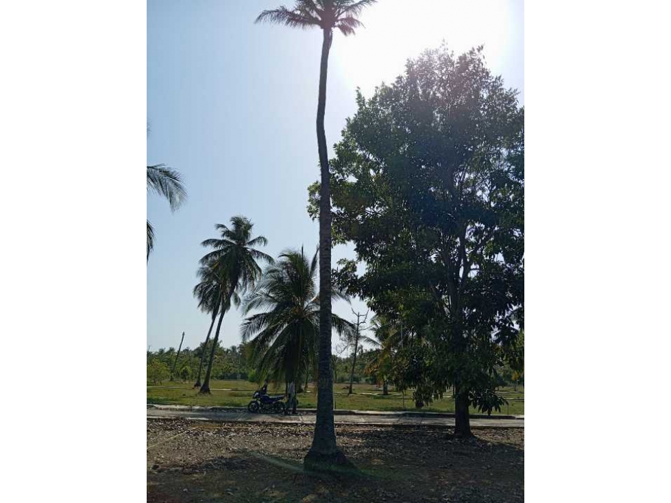 VENDE LOTE EN CONJUNTO EN MOÑITOS CORDOBA - 4