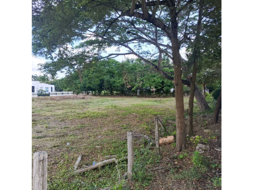 Vende lote en Sevilla sobre la 78 cerca a Picacho