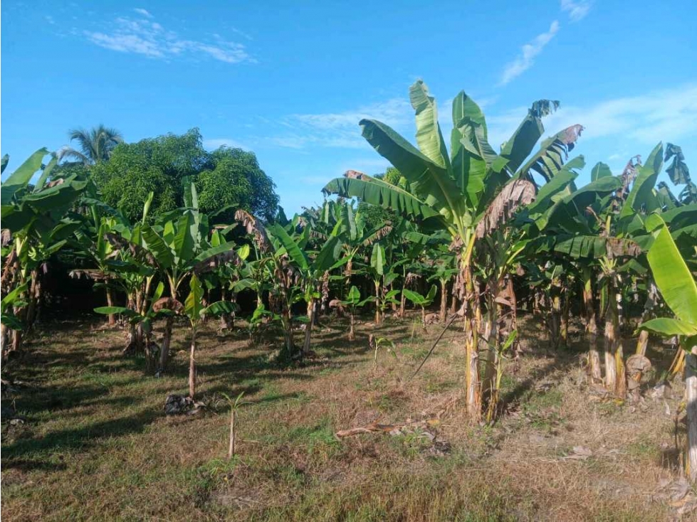 VENDE CASA FINCA O PARCELA VIA AL BATALLON