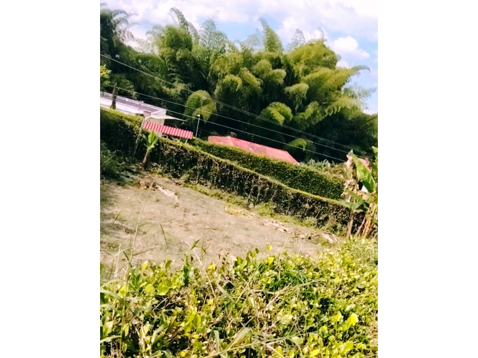 VENDEMOS 400 MT2 EN PARCELACION VIA AEROPUERTO, ARMENIA QUINDIO — foto 4
