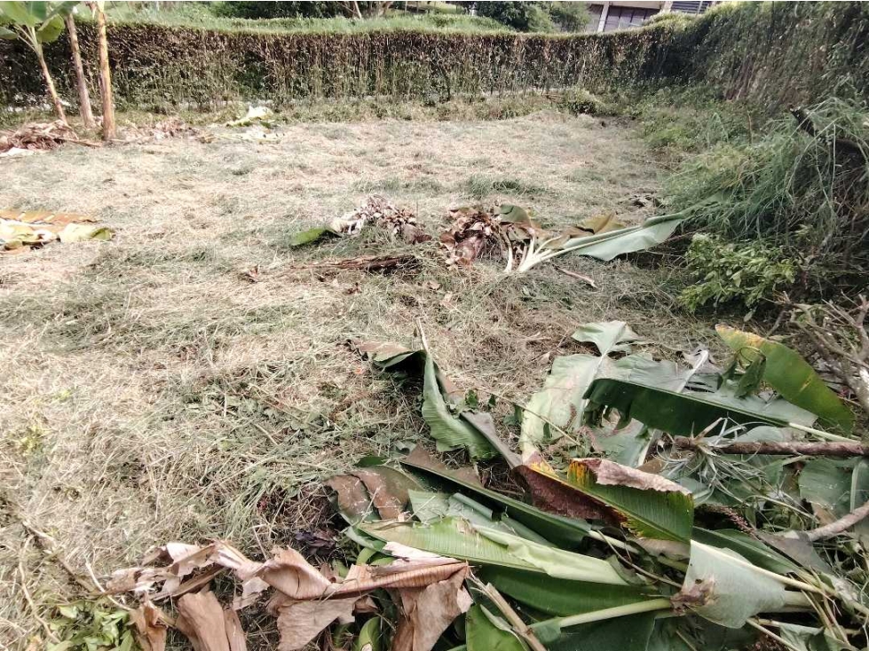 VENDEMOS 400 MT2 EN PARCELACION VIA AEROPUERTO, ARMENIA QUINDIO — foto 6