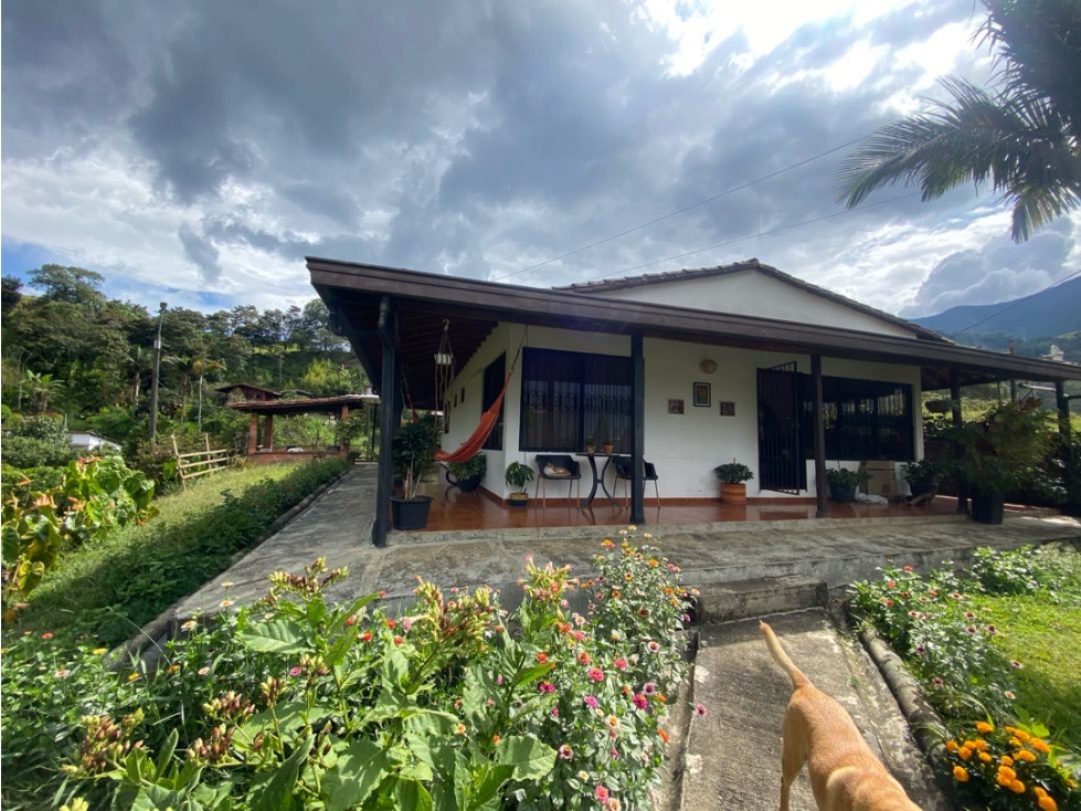 VENDEMOS CASA FINCA EN LA ESTRELLA — foto 2