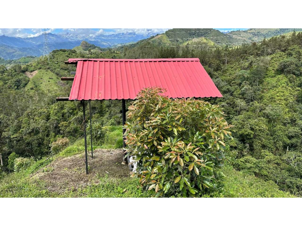 VENDEMOS FINCA AGUACATERA PADUA TOLIMA - 6