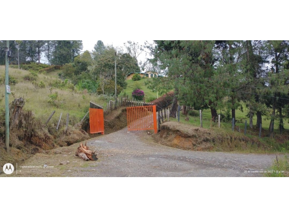 VENDEMOS FINCA - LOTE GUARNE — foto 5