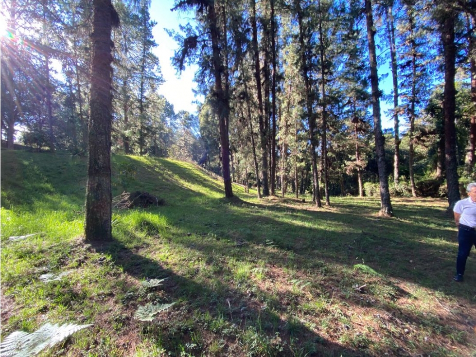 VENTA DE LOTE / PARCELACION ALTO DE LAS PALMAS / 7.067 M2 — foto 3