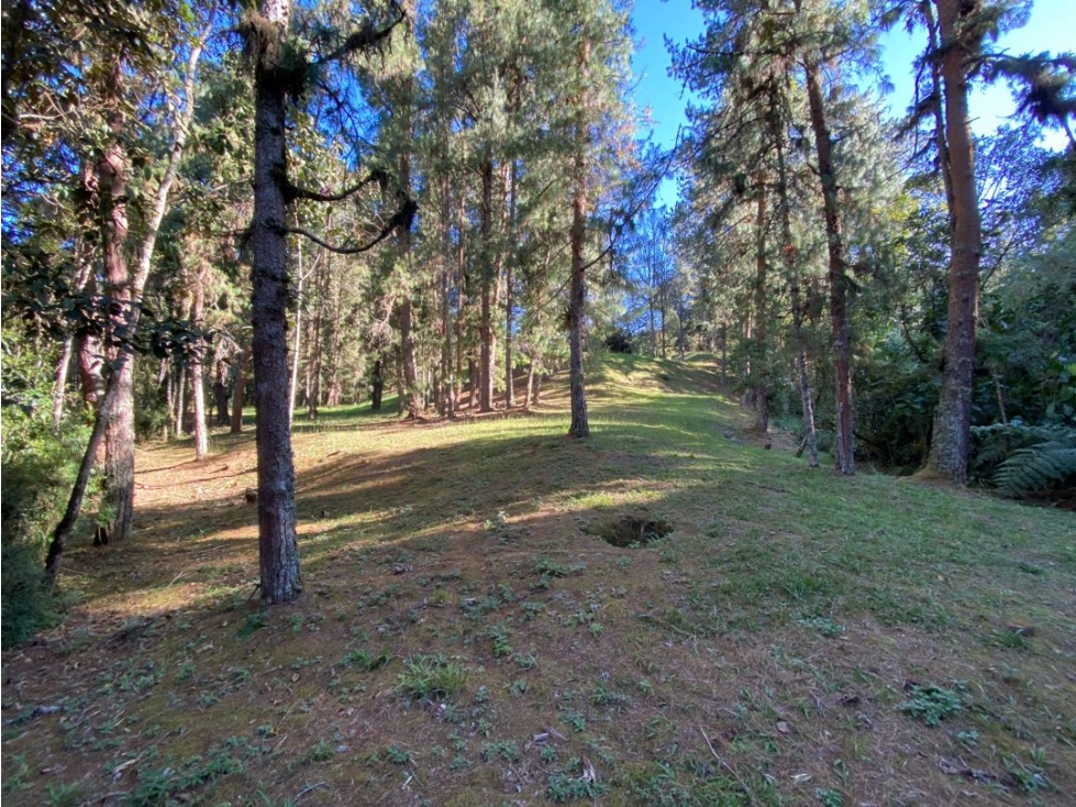 VENTA DE LOTE / PARCELACION ALTO DE LAS PALMAS / 7.067 M2 — foto 5