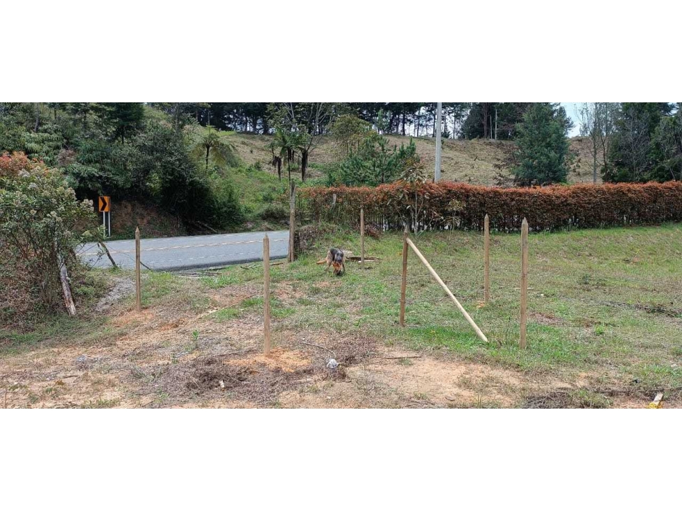 VENDEMOS LOTE COMERCIAL CON 3 MATRÍCULAS EN VARIANTE PALMAS — foto 2