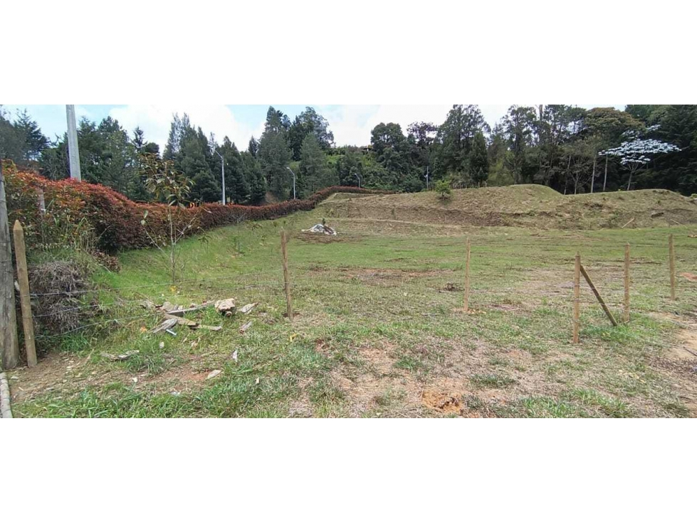 VENDEMOS LOTE COMERCIAL CON 3 MATRÍCULAS EN VARIANTE PALMAS — foto 3