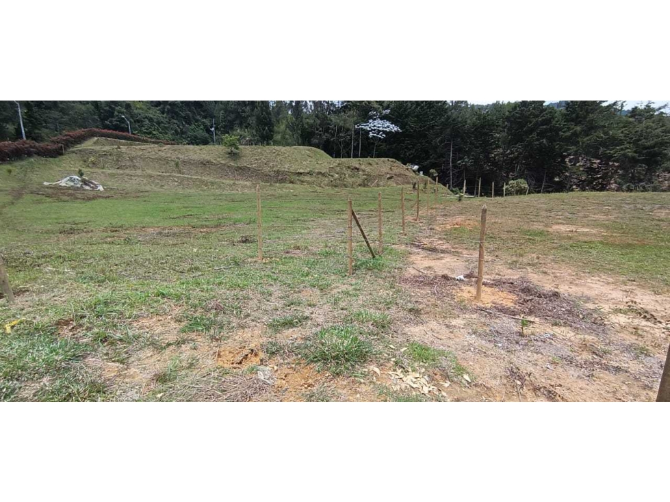 VENDEMOS LOTE COMERCIAL CON 3 MATRÍCULAS EN VARIANTE PALMAS — foto 4