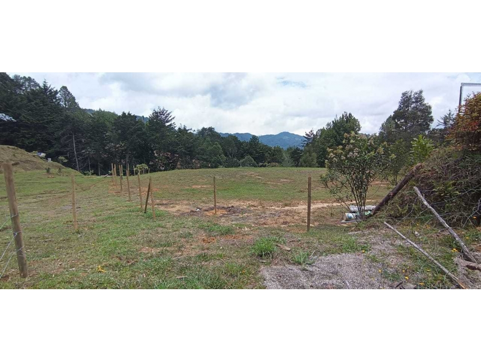 VENDEMOS LOTE COMERCIAL CON 3 MATRÍCULAS EN VARIANTE PALMAS — foto 5