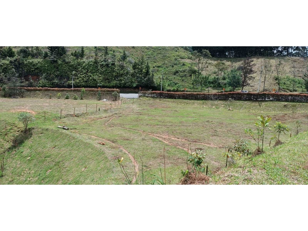 VENDEMOS LOTE COMERCIAL CON 3 MATRÍCULAS EN VARIANTE PALMAS — foto 6