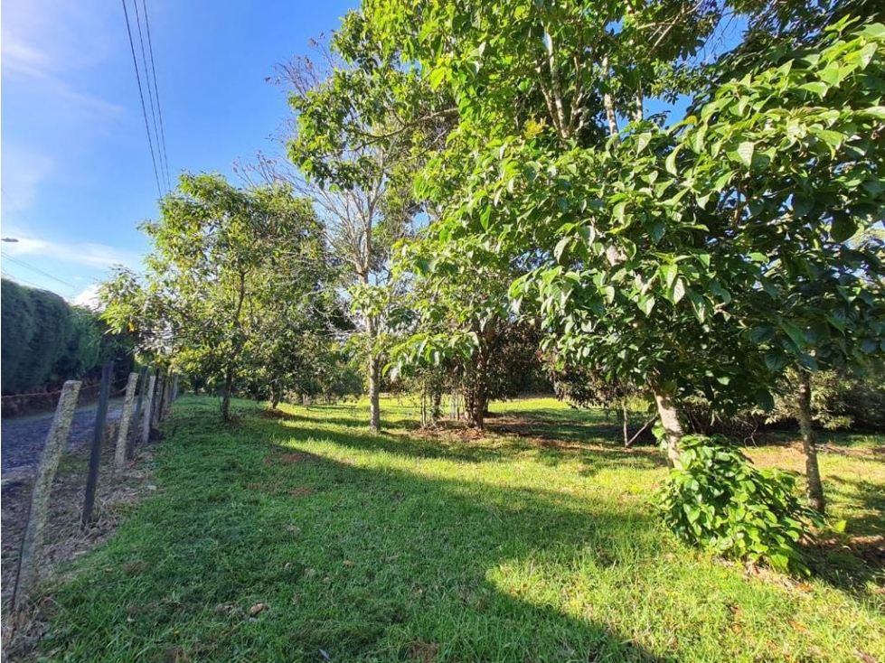 VENDEMOS LOTE COMERCIAL EN LA VARIANTE PALMAS - DESPUES DEL PEAJE — foto 3