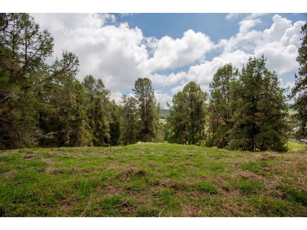 VENDEMOS LOTE CON BOSQUE NATIVO UNIDAD CERRADA ALTO DE LAS PALMAS