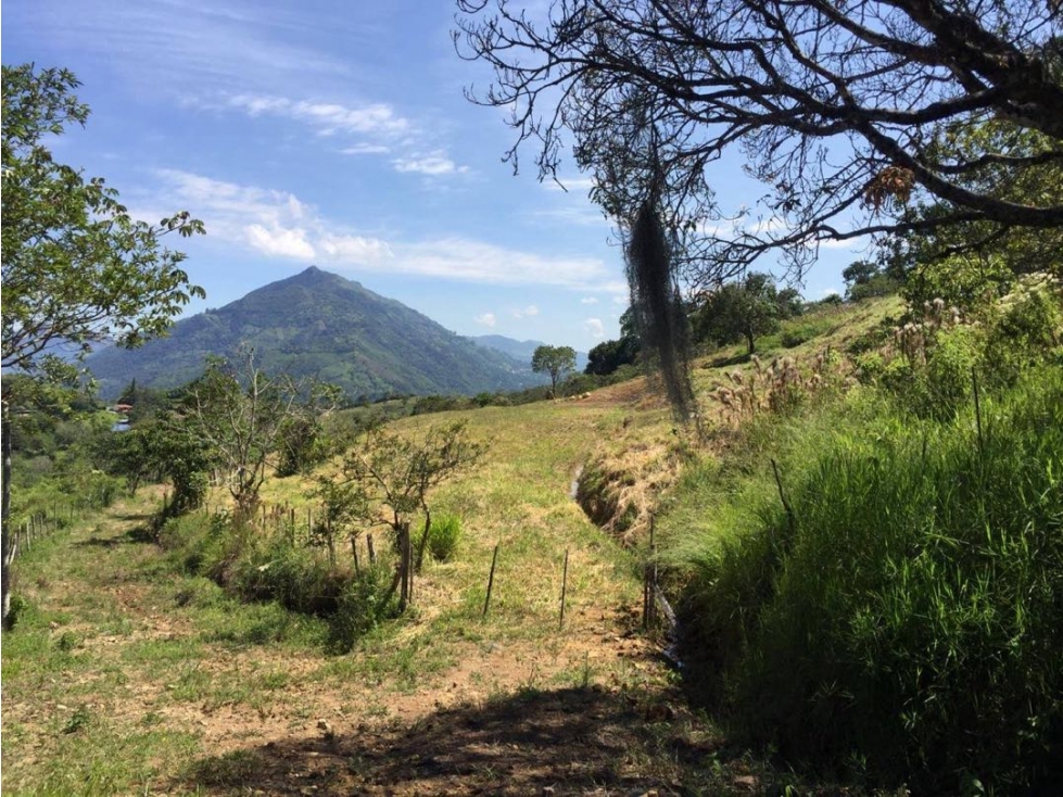 VENDEMOS LOTE CON HERMOSA VISTA EN FREDONIA - 1