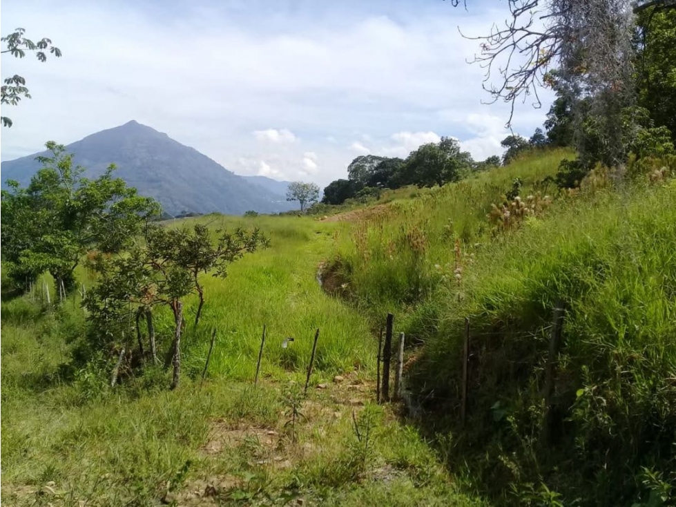 VENDEMOS LOTE CON HERMOSA VISTA EN FREDONIA - 2
