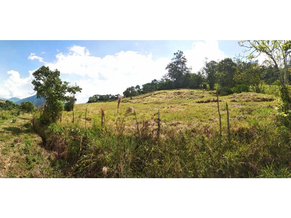 VENDEMOS LOTE CON HERMOSA VISTA EN FREDONIA - 4