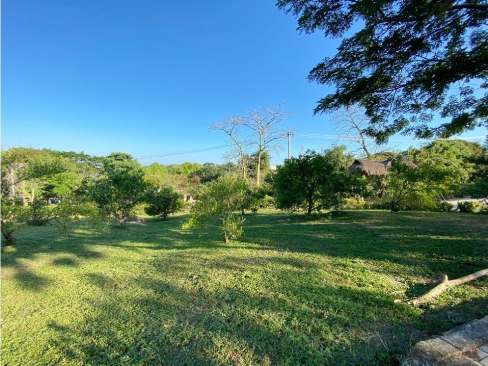 Vendemos lote de 1 hectárea en Los Naranjos en Turbaco en Bolivar - 4