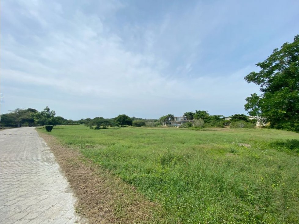Vendemos LOTE sobre el CANAL NAVEGABLE de Marina de Baru Cartagena — foto 4