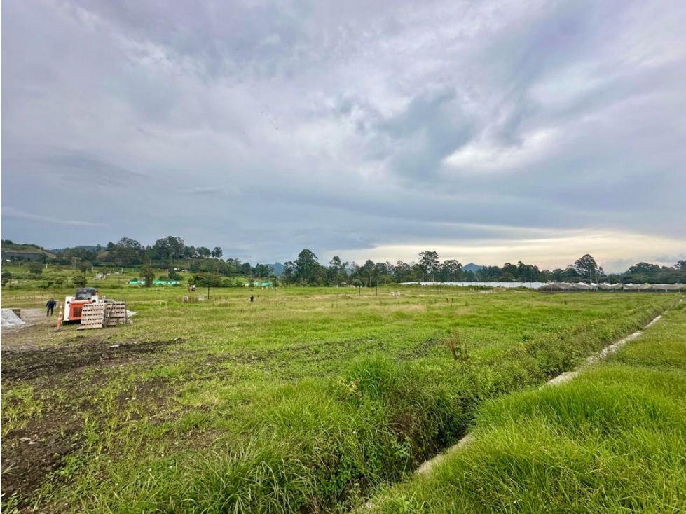 VENDEMOS LOTE EN LA CEJA ANTIOQUIA SECTOR EL TAMBO — foto 2