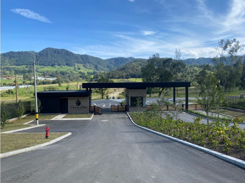 VENDEMOS LOTE EN LA CEJA ANTIOQUIA SECTOR EL TAMBO — foto 3