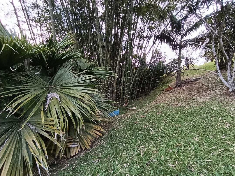 VENDEMOS LOTE EN PARCELACIÓN EXCLUSIVA EN EL RETIRO EL CHUSCAL — foto 5