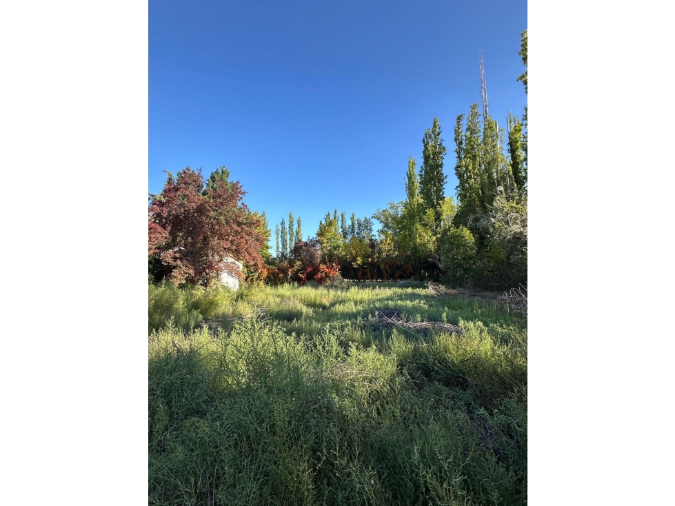 Lote en venta 1200 m2 en Chacras de Coria, Luján de Cuyo - 1