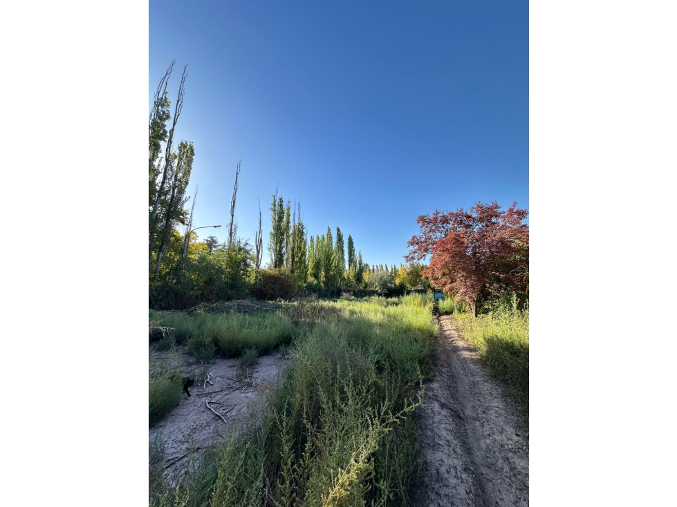 Lote en venta 1200 m2 en Chacras de Coria, Luján de Cuyo - 3