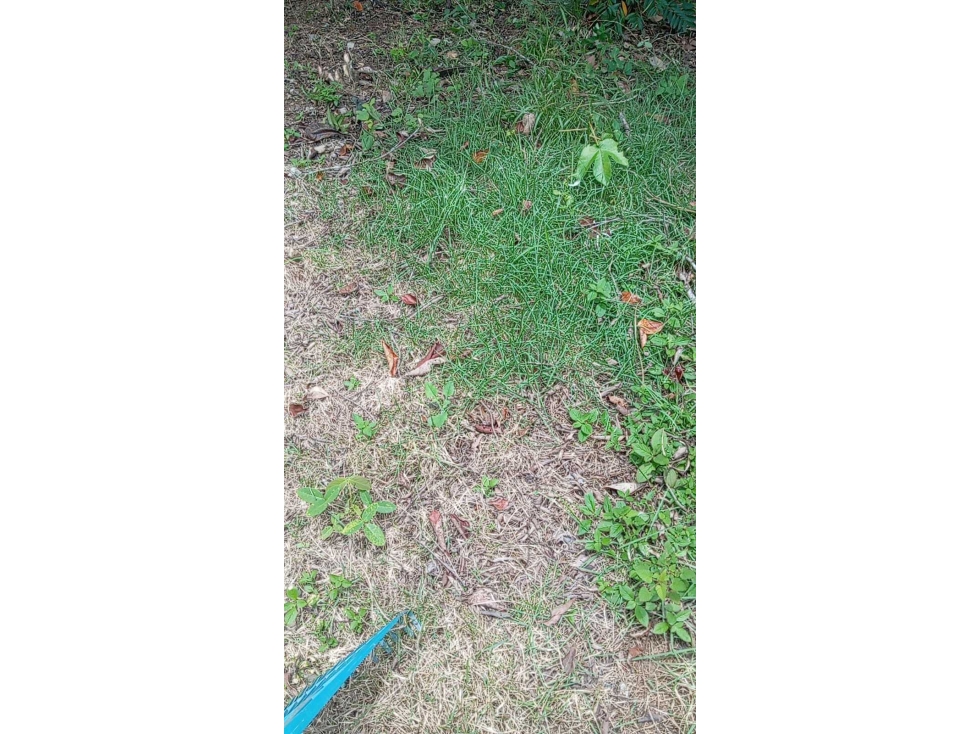 VENDO.1000MTS A PASOS DEL PUERTO BARU CORREG. CHIRIQUI - 2