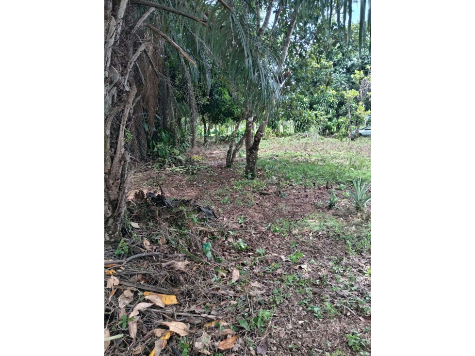 VENDO.1000MTS A PASOS DEL PUERTO BARU CORREG. CHIRIQUI - 4