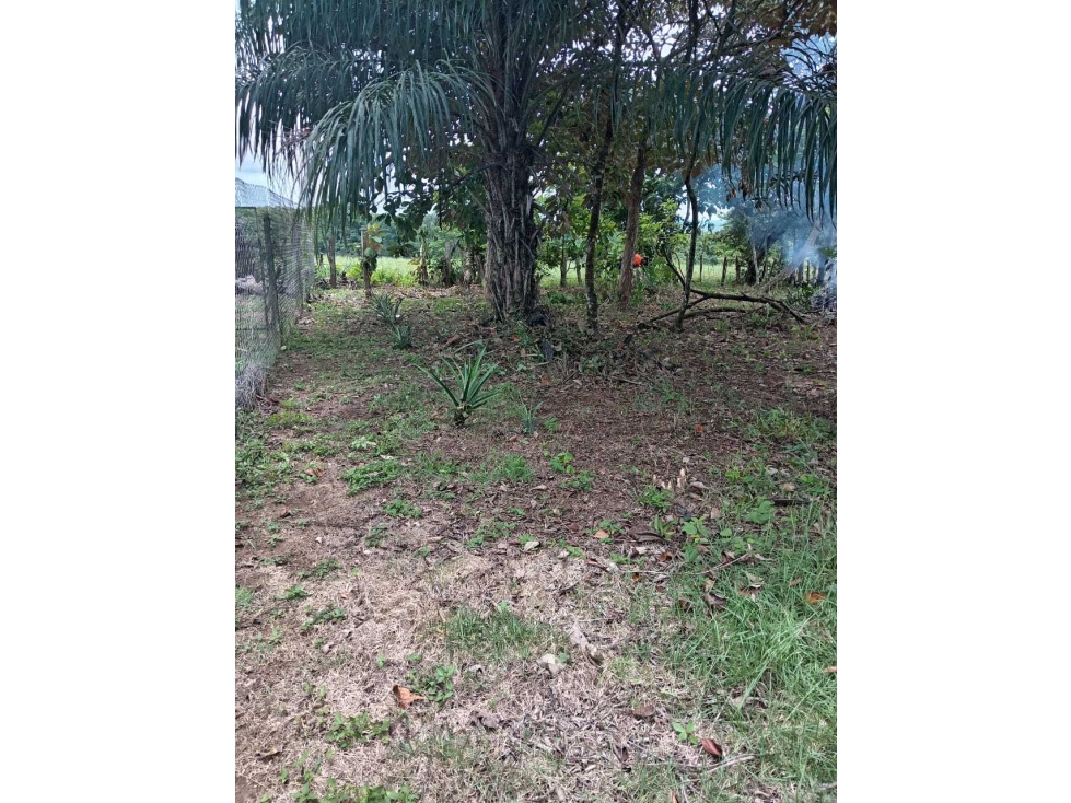 VENDO.1000MTS A PASOS DEL PUERTO BARU CORREG. CHIRIQUI - 5