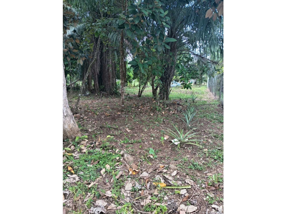 VENDO.1000MTS A PASOS DEL PUERTO BARU CORREG. CHIRIQUI - 6