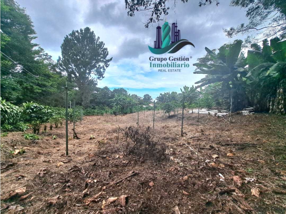 VENDO.2HECTAREAS EN.VOLCANCITO - 6
