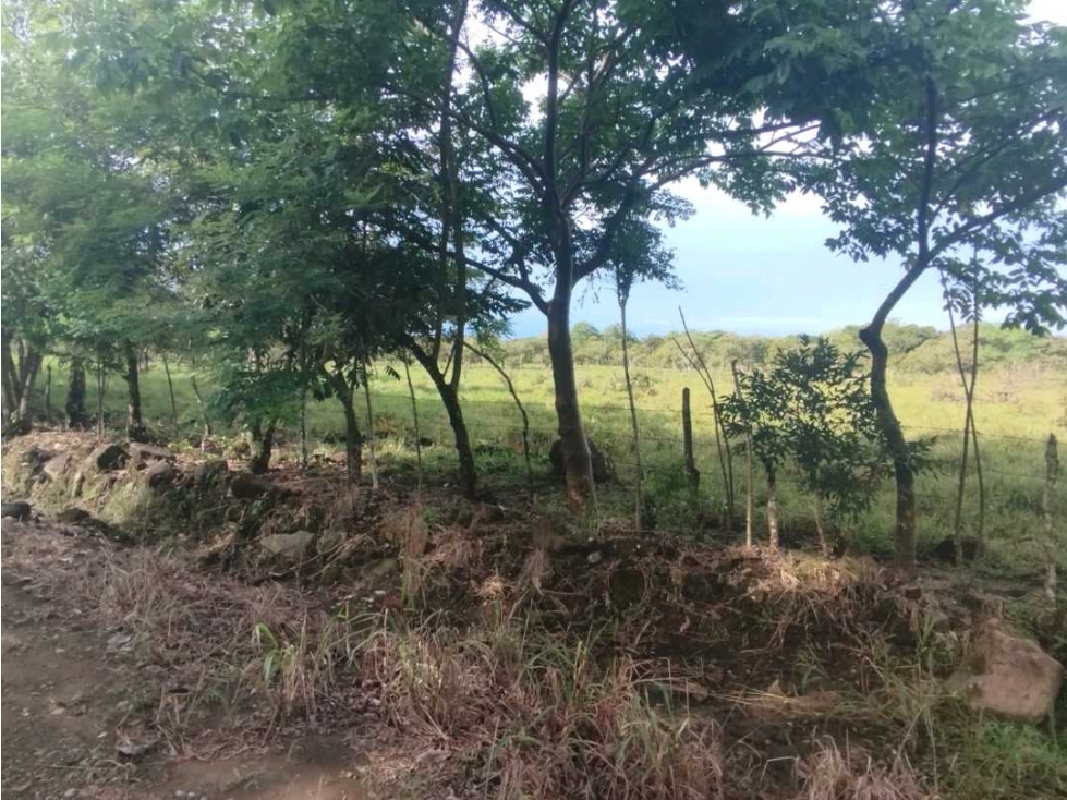 VENDO.3 HECTAREAS EN EL.FRANCES - 4