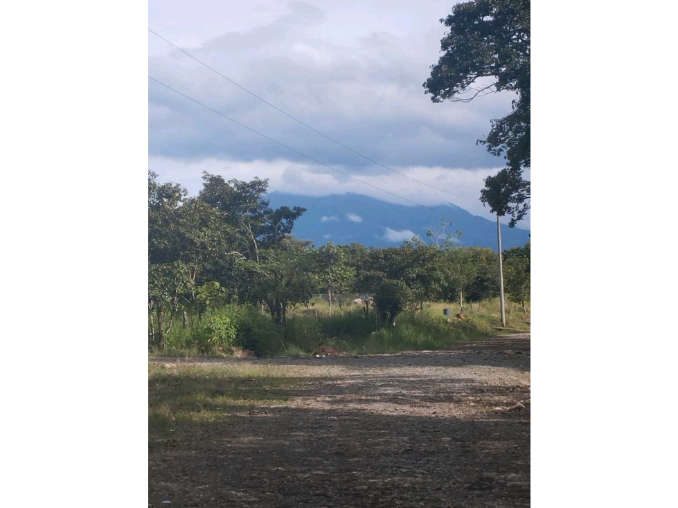 VENDO.3 HECTAREAS EN EL.FRANCES - 6