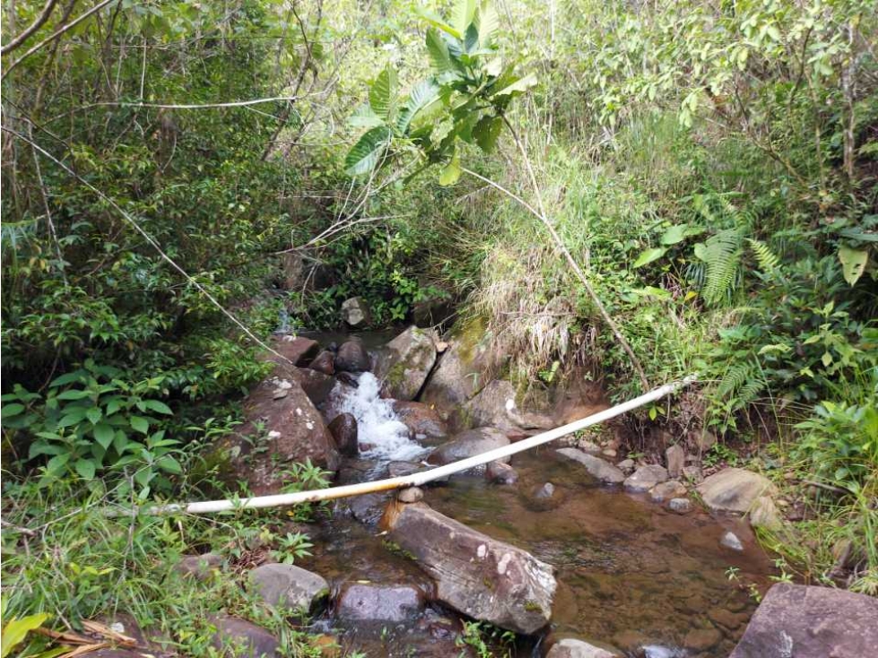 VENDO 01 HECTAREA TITULADA CON AGUA VIVA BOQUETE - 2