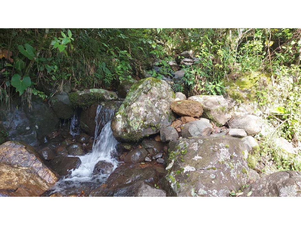 VENDO 01 HECTAREA TITULADA CON AGUA VIVA BOQUETE - 1